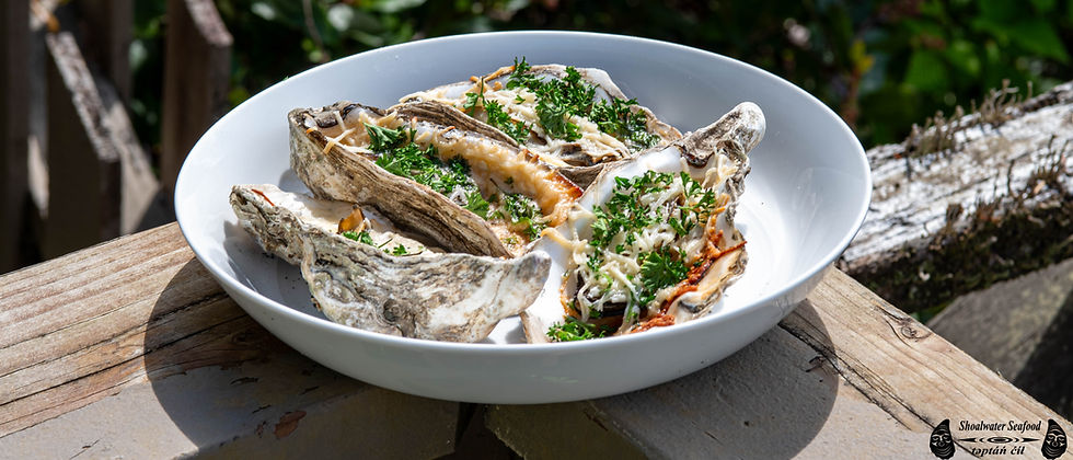 Shoalwater-Seafood-Grill-Oysters-with-toppings 21 x9-3.jpg