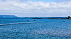 Shoalwater-Seafood-Willapa-Bay-Oyster-Line-.jpg