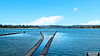 FlipFarm technology on Willapa Bay