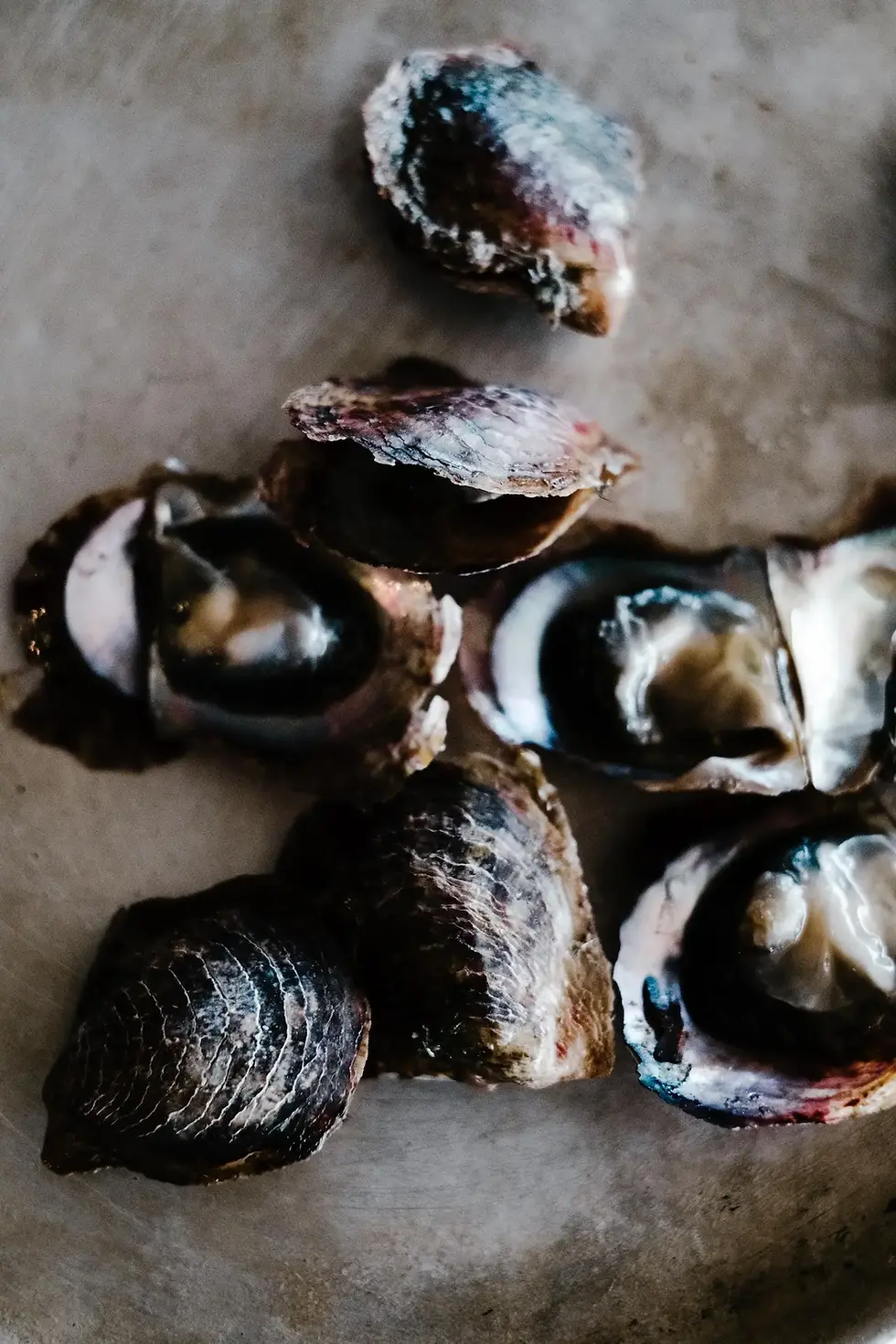 Half shell oysters