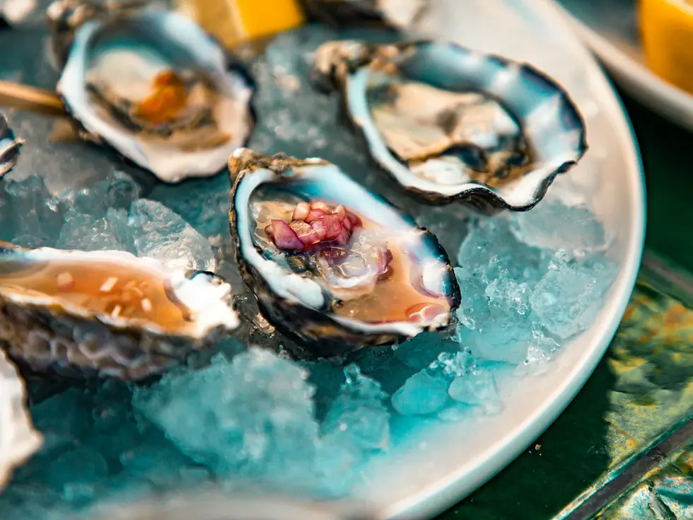 half shell oysters plate