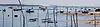 Willapa Bay with boats and oyster beds