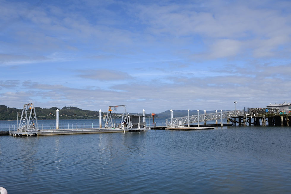 Processing pad at a dock in Willapa Bay